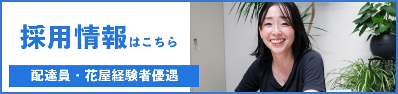 採用情報はこちら